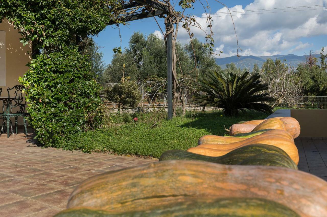 Olive Tree Villa Kalamata Ngoại thất bức ảnh